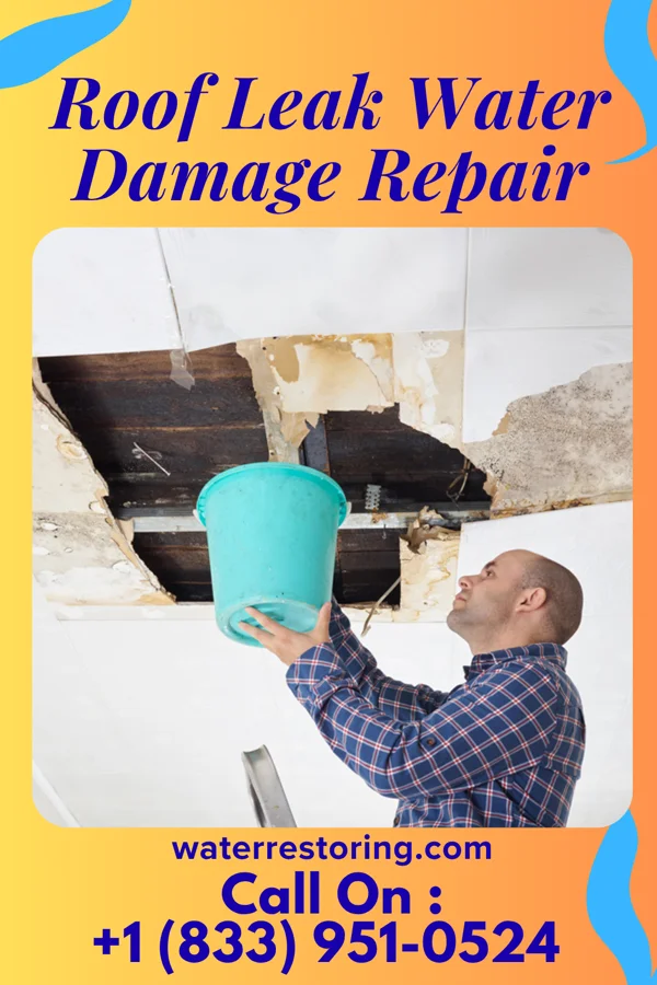Roof Leak Water Damage Repair in Murray, UT
