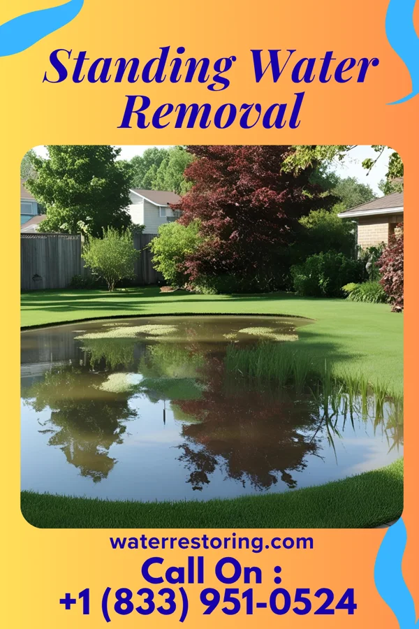 Standing Water Removal in Murray, UT